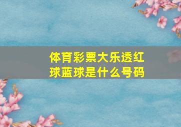 体育彩票大乐透红球蓝球是什么号码