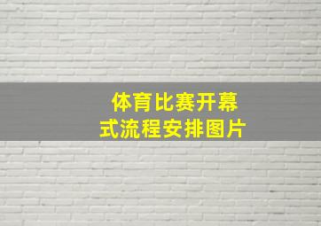 体育比赛开幕式流程安排图片