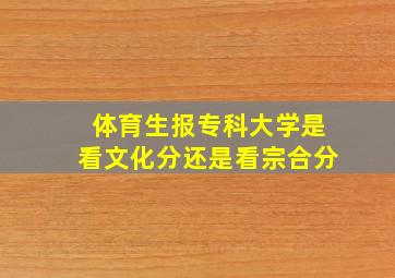 体育生报专科大学是看文化分还是看宗合分