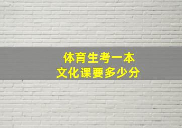 体育生考一本文化课要多少分