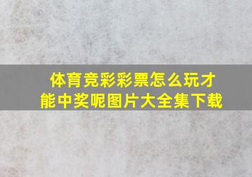 体育竞彩彩票怎么玩才能中奖呢图片大全集下载