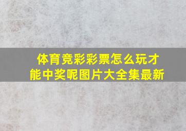 体育竞彩彩票怎么玩才能中奖呢图片大全集最新