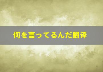 何を言ってるんだ翻译