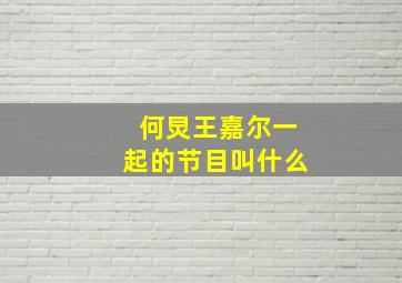 何炅王嘉尔一起的节目叫什么