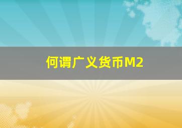 何谓广义货币M2