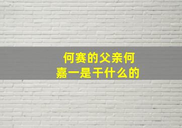 何赛的父亲何嘉一是干什么的