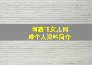 何赛飞女儿何琳个人资料简介