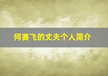 何赛飞的丈夫个人简介