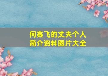 何赛飞的丈夫个人简介资料图片大全