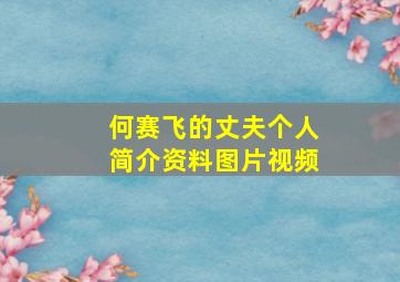 何赛飞的丈夫个人简介资料图片视频