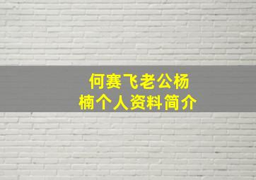 何赛飞老公杨楠个人资料简介