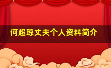 何超琼丈夫个人资料简介