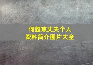 何超琼丈夫个人资料简介图片大全