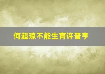 何超琼不能生育许晋亨