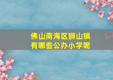 佛山南海区狮山镇有哪些公办小学呢