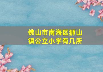 佛山市南海区狮山镇公立小学有几所