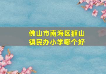 佛山市南海区狮山镇民办小学哪个好