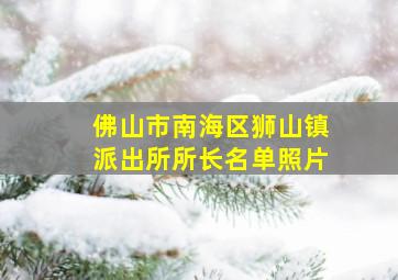 佛山市南海区狮山镇派出所所长名单照片