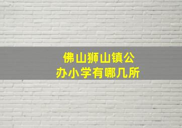 佛山狮山镇公办小学有哪几所