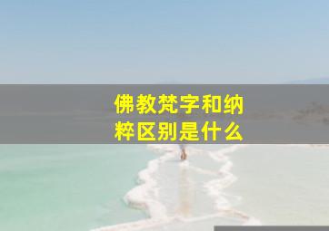 佛教梵字和纳粹区别是什么