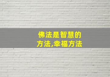 佛法是智慧的方法,幸福方法