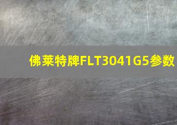 佛莱特牌FLT3041G5参数