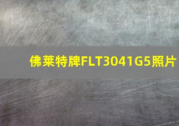 佛莱特牌FLT3041G5照片