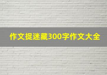 作文捉迷藏300字作文大全