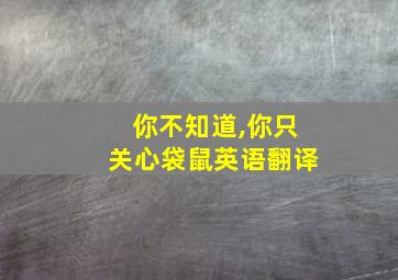 你不知道,你只关心袋鼠英语翻译