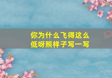 你为什么飞得这么低呀照样子写一写