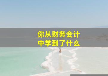 你从财务会计中学到了什么