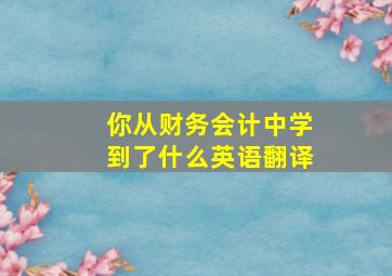 你从财务会计中学到了什么英语翻译