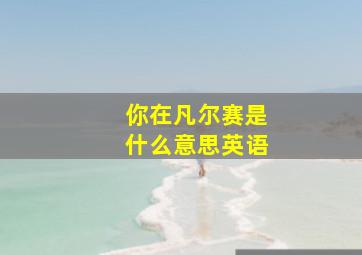 你在凡尔赛是什么意思英语