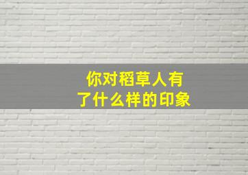 你对稻草人有了什么样的印象