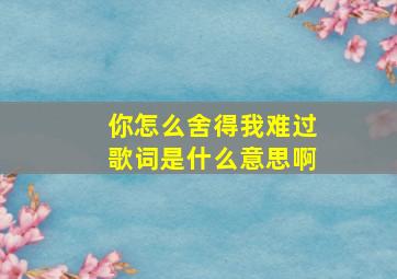 你怎么舍得我难过歌词是什么意思啊