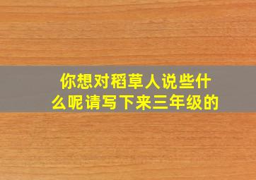 你想对稻草人说些什么呢请写下来三年级的