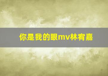 你是我的眼mv林宥嘉