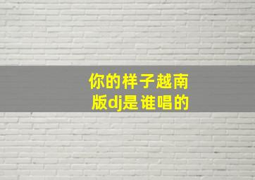 你的样子越南版dj是谁唱的