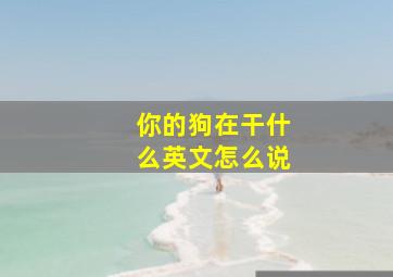 你的狗在干什么英文怎么说