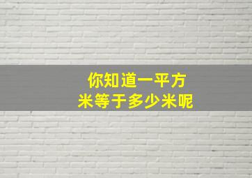 你知道一平方米等于多少米呢