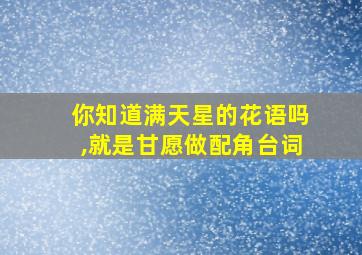 你知道满天星的花语吗,就是甘愿做配角台词