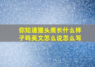 你知道猫头鹰长什么样子吗英文怎么说怎么写