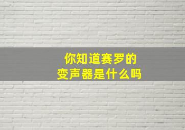 你知道赛罗的变声器是什么吗