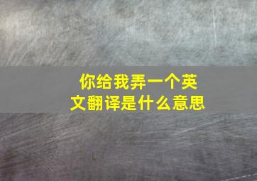 你给我弄一个英文翻译是什么意思