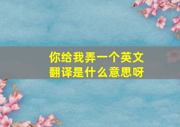 你给我弄一个英文翻译是什么意思呀