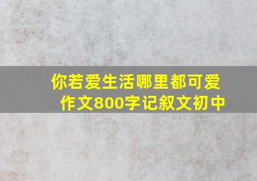 你若爱生活哪里都可爱作文800字记叙文初中