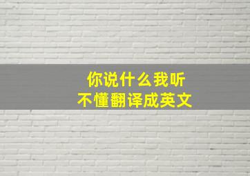 你说什么我听不懂翻译成英文