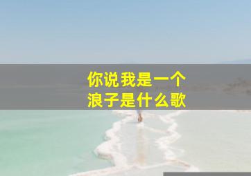 你说我是一个浪子是什么歌