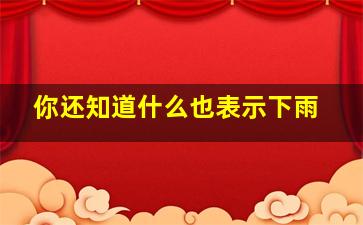 你还知道什么也表示下雨