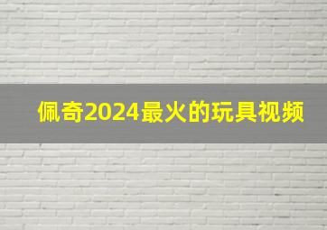 佩奇2024最火的玩具视频